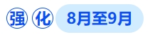 中級會計強化階段