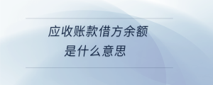 應收賬款借方余額是什么意思