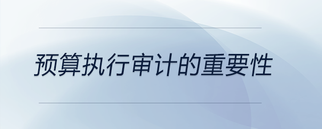 預算執行審計的重要性