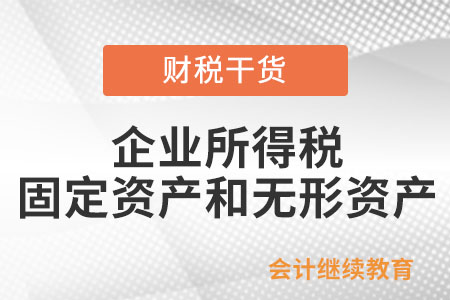 企業(yè)所得稅上的固定資產(chǎn)和無形資產(chǎn)包括什么？