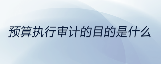 預算執行審計的目的是什么