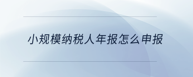小規模納稅人年報怎么申報