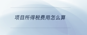 項(xiàng)目所得稅費(fèi)用怎么算