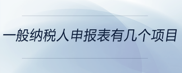 一般納稅人申報表有幾個項目