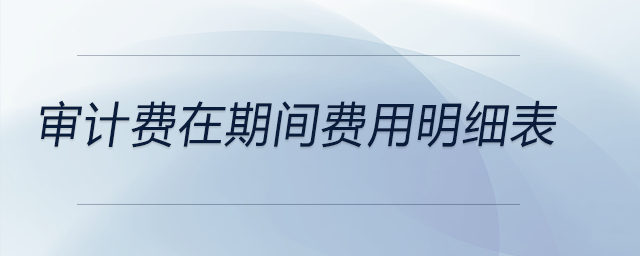 審計費在期間費用明細表