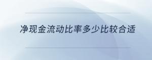 凈現金流動比率多少比較合適
