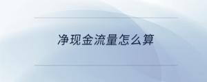 凈現金流量怎么算