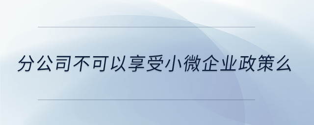 分公司不可以享受小微企業政策么