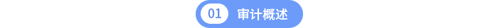 審計(jì)概述