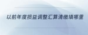 以前年度損益調整匯算清繳填哪里
