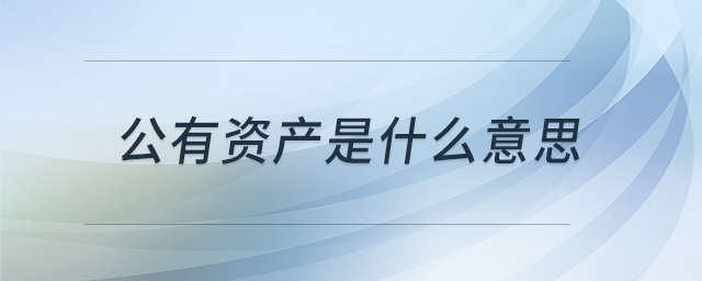 公有資產是什么意思