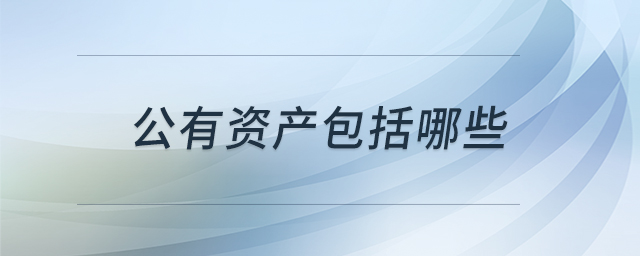 公有資產包括哪些