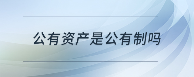 公有資產是公有制嗎