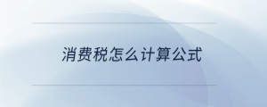 消費稅怎么計算公式