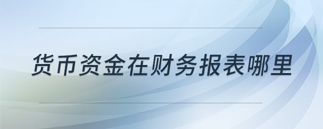 貨幣資金在財務報表哪里