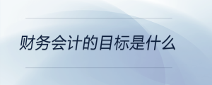 財務會計的目標是什么
