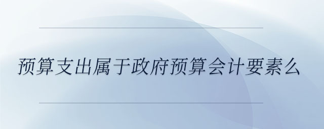 預算支出屬于政府預算會計要素么