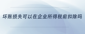 壞賬損失可以在企業所得稅前扣除嗎