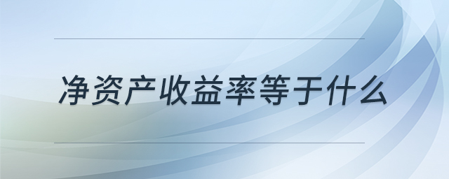 凈資產收益率等于什么
