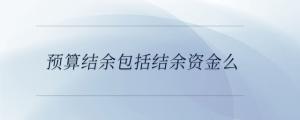 預算結余包括結余資金么