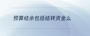 預算結余包括結轉資金么