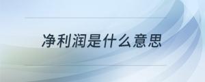 凈利潤是什么意思