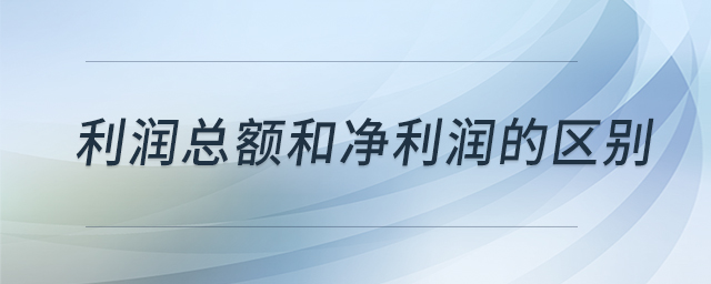 利潤總額和凈利潤的區別
