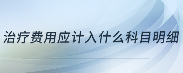 治療費用應計入什么科目明細