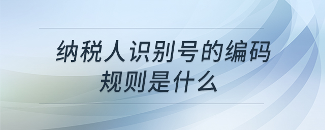 納稅人識別號的編碼規(guī)則是什么