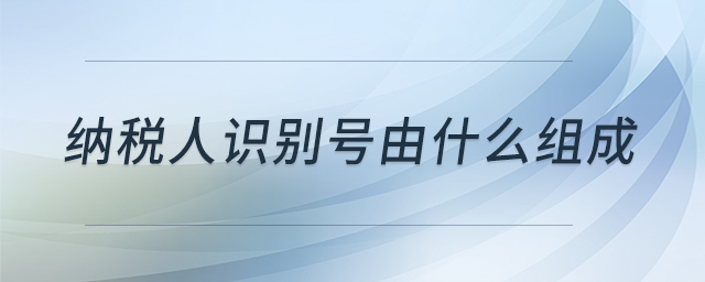 納稅人識別號由什么組成