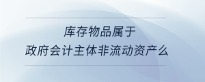 庫(kù)存物品屬于政府會(huì)計(jì)主體非流動(dòng)資產(chǎn)么