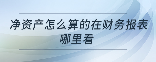凈資產怎么算的在財務報表哪里看