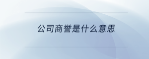 公司商譽是什么意思