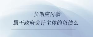 長期應付款屬于政府會計主體的負債么