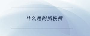 什么是附加稅費