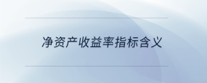 凈資產收益率指標含義