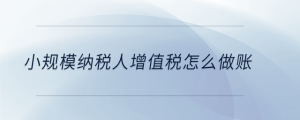 小規模納稅人增值稅怎么做賬