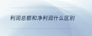 利潤總額和凈利潤什么區別