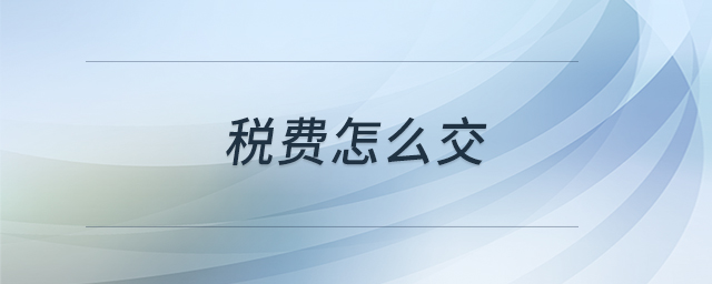 稅費怎么交