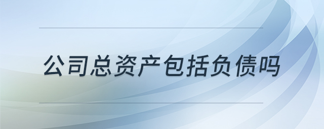公司總資產(chǎn)包括負(fù)債嗎