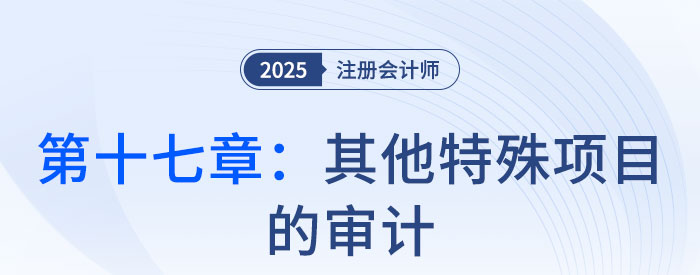第十七章其他特殊項目的審計_2025年注會審計習題隨章演練