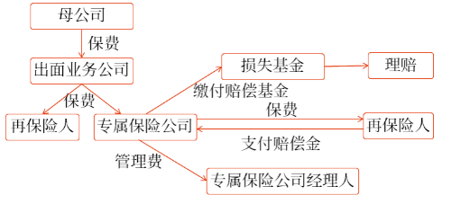 純專業自保公司的結構