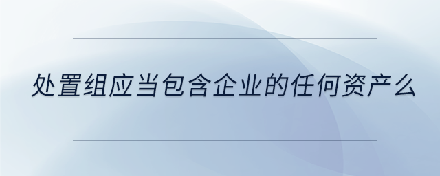 處置組應當包含企業的任何資產么