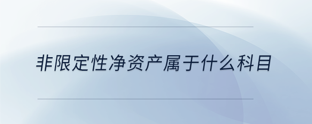 非限定性凈資產屬于什么科目