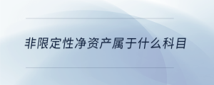 非限定性凈資產屬于什么科目