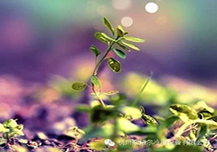 地暖管路為什么要清洗？如何清洗？