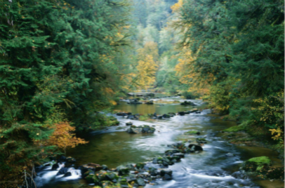 如何挑選適合你家的新風(fēng)系統(tǒng)？看這一篇就可以了！